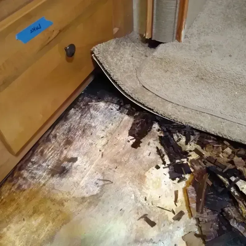 Wood Floor Water Damage in Wheaton, MD